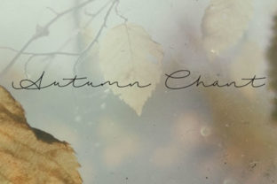 Discovering the Warmth of the Autumn Chant Typeface